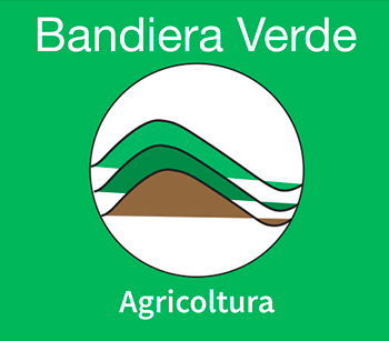 BANDIERA VERDE