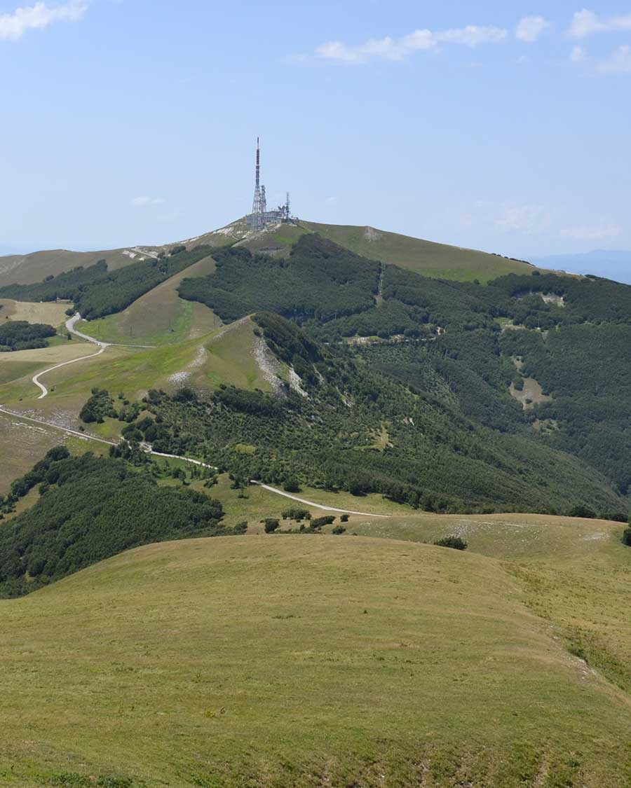 Monte-Nerone